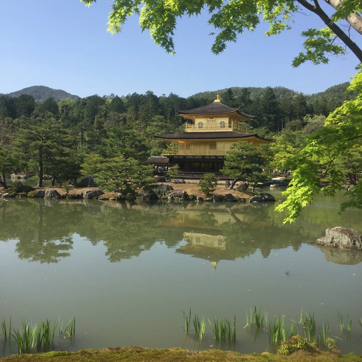 Jardin japonais et pavillon traditionnel se refletant dans un bassin